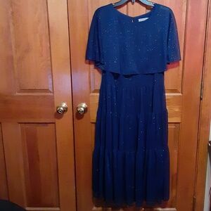 Danny & Nicole Sparkly Navy Lined Dress